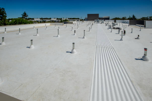 Best Skylight Installation and Repair  in Central, TN